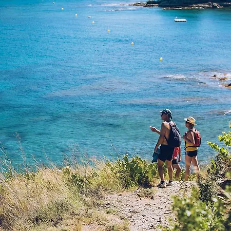 Regina's - Spatious Next To The * Banyuls-sur-Mer