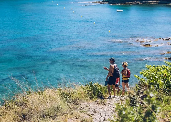 Regina's - Spatious Next To The * Banyuls-sur-Mer